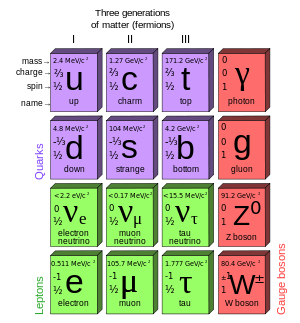 The particles in the Standard Model.