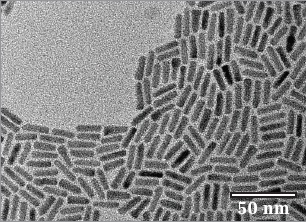 TEM image of elongated core/shell particles