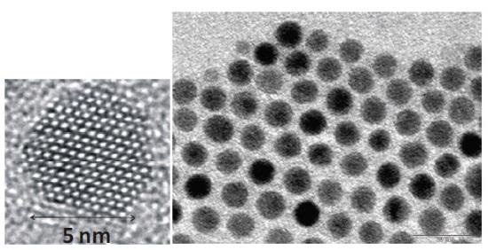 TEM-image of single quantum dots