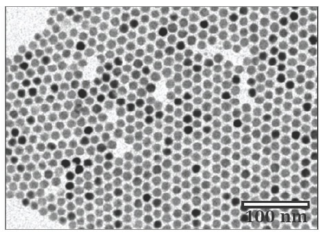 TEM image of CANdots Series C particles