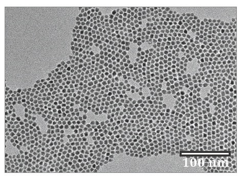 TEM image of CANdots Series A particles