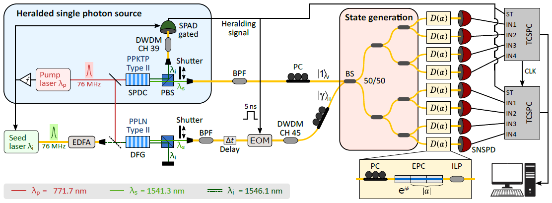 Experimental schematic: A heralded single photon, incident on a cascade of 50/50 fiber beam splitters (BS), is delocalized over spatial modes to generate an 8-partite path-entangled state. Weak coherent states in orthogonal polarization modes are co-propagated with the single-photon state to locally perform displacement-based measurements. See main text for details on the setup and notation