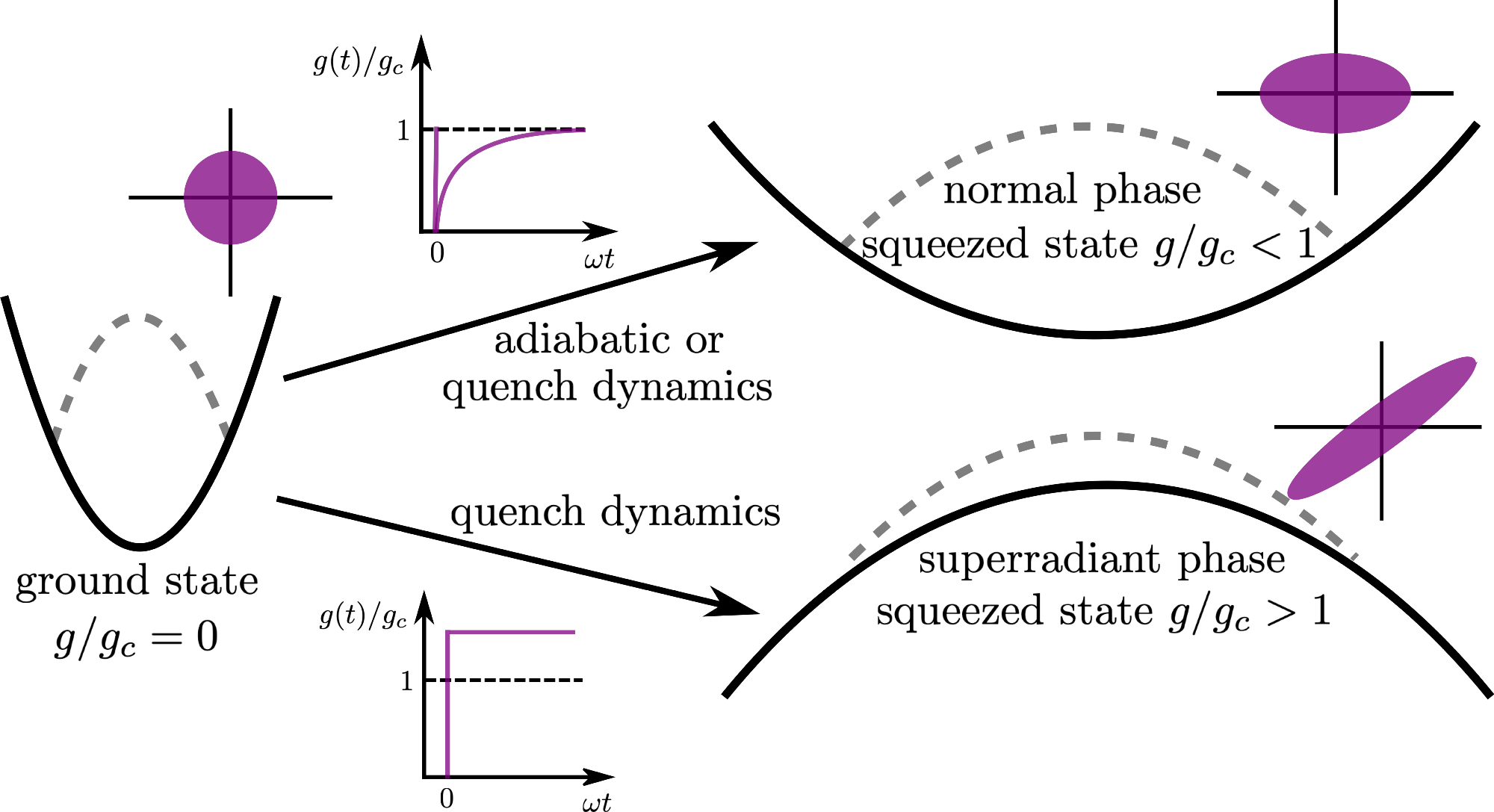 The schematic represents a toy model for a quantum phase transition (g/gc > 1 is the superradiant phase), with the black line being the effective potential that is felt by a quantum state (dashed-gray line). Driving the system close to the critical point (g/gc ~ 1) creates the correlated (squeezed) excitations at a very slow rate (critical slowing down), since the effective potential is still of trapping form. However, if the system is quenched beyond the critical point (g/gc > 1), the same number of correlated excitations can be generated much faster since the initial state will behave as if it was placed in an inverted harmonic oscillator potential. The purple ellipses represent the phase space picture of the state.