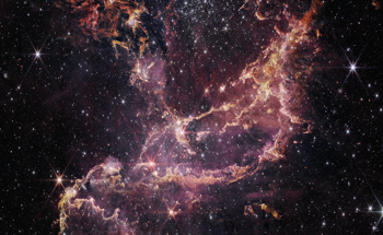 The JWST Studies Star Formation in the Small Magellanic Cloud