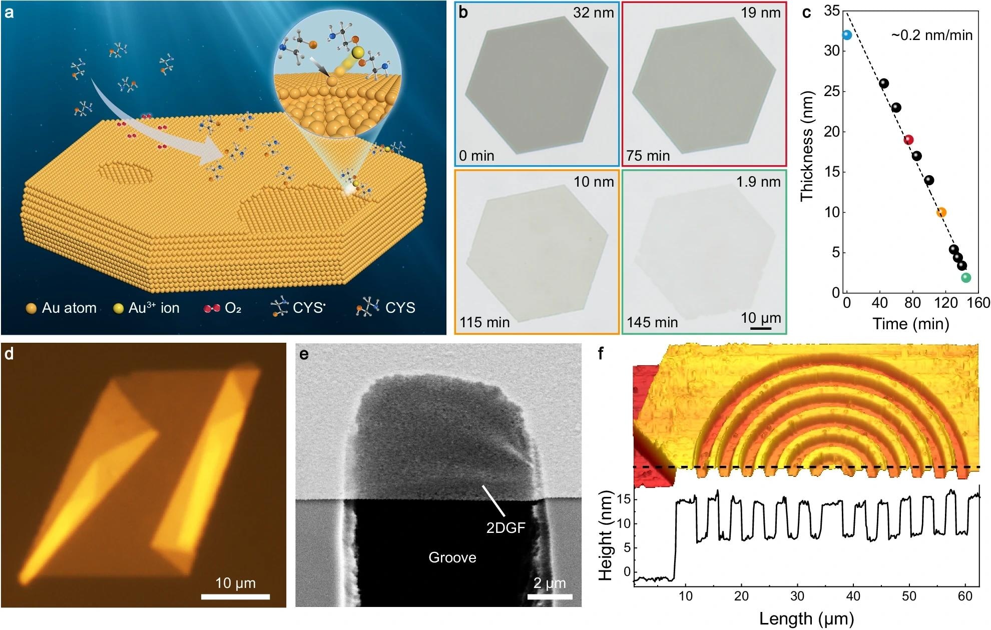 The Role of 2D Gold Flakes in Next-Gen Optoelectronics