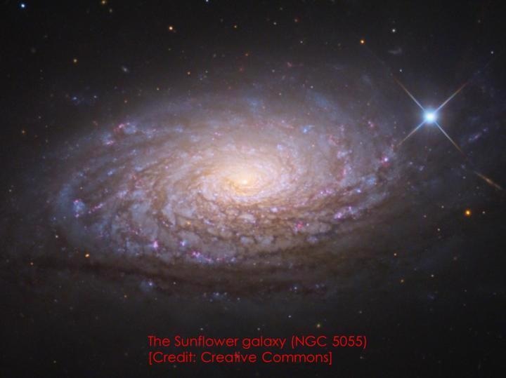 The best example is represented by the Sunflower galaxy (NGC 5055) with the strongest external field among SPARC galaxies, whose well-measured rotation curve shows a mildly declining behavior at a large radial distance and can be accurately modeled only with an external field effect.