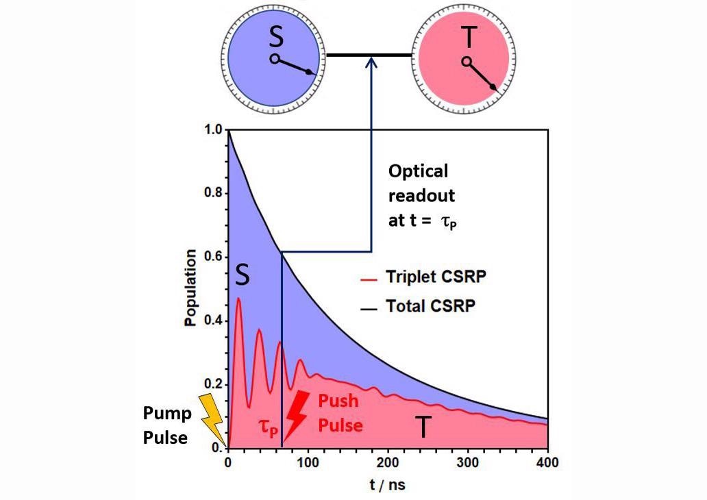 Novel Spectroscopy Method Helps Monitor Spin Evolution in Radical Pairs.
