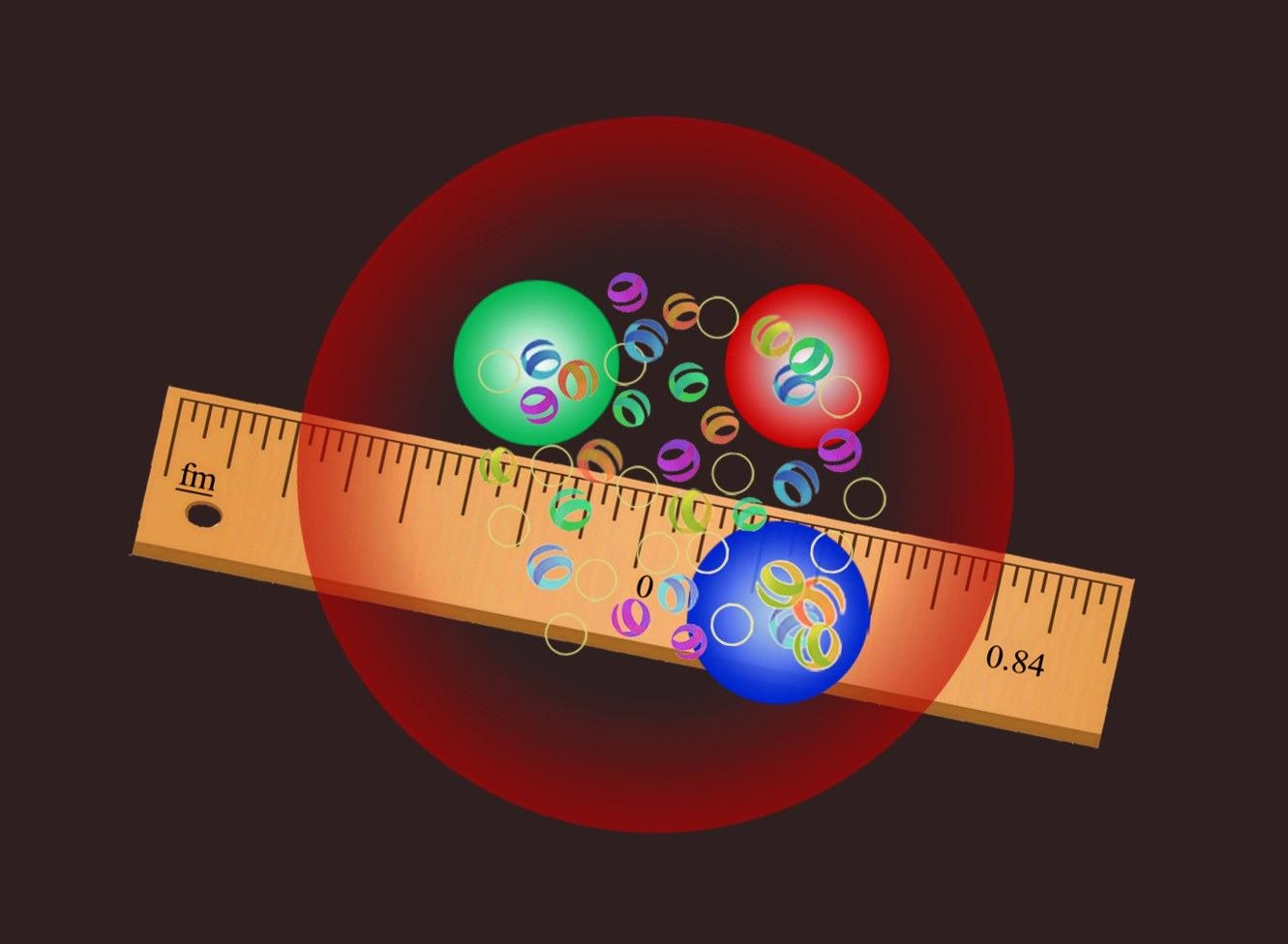 The proton (red) - has a radius of 0.84 femtometers (fm). Also shown in the figure are the three quarks that make up the proton and the gluons that hold them together.