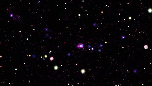 Black Holes in the Spiderweb Galaxy Growing Rapidly.