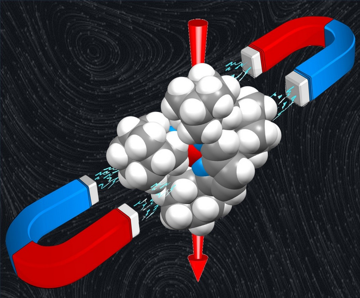 Scientists Demonstrate New Developments in the Study of Molecular Magnets.