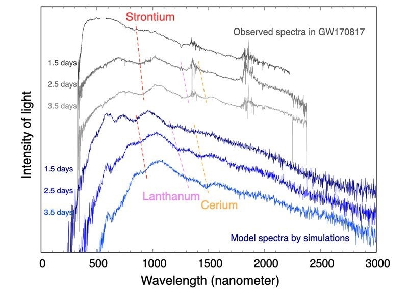 Formation of Rare Earth Elements in Neutron Star Unions