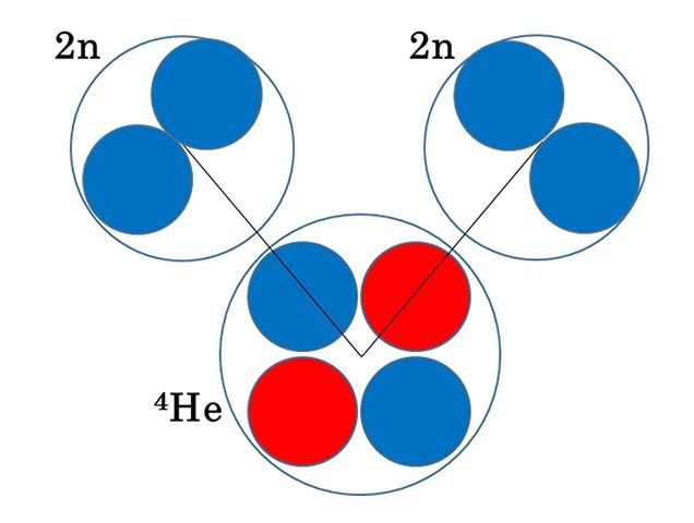 Study Analyzes the Correlation of Neutrons in Helium-8 Nuclei