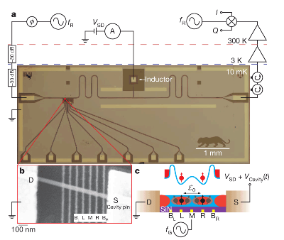 Princeton-Joint Quantum Institute Collaboration Successfully Excites Spin Qubit Using Resonant Cavity