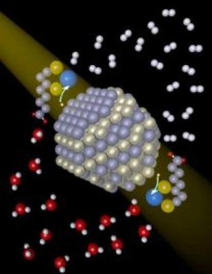 CdSe Quantum Dots and Nickel Catalysts Improve Light-Driven Hydrogen-Production Systems