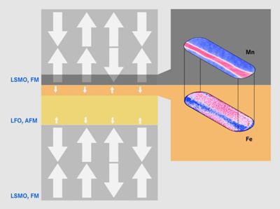 Spin Filters Within Magnetic Sandwiches Influence Tunnel Magnetoresistance