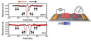 New Functionalized Homoepitaxial Structures Hold Promise for Graphene-Based Spintronic Devices