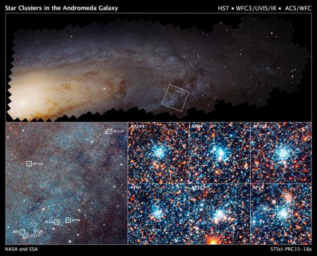 Neighboring Andromeda Galaxy has Similar Percentage of Newborn Stars Based on Mass