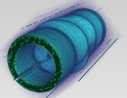 Physicists Develop Novel Electron Microscope Capable of Mapping Electromagnetic Waveforms