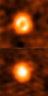 First Direct Observation of Rare Hybrid Disk Containing Both Gas and Dust