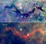 Stellar Nurseries Grow Within the Snake Nebula