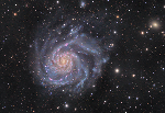 Spin Determines Fatness of Spiral Galaxies