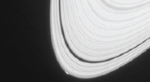 Possible Birth of Tiny Moon within the Rings of Saturn