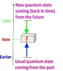 Physicists Introduce the Quantum Pigeon