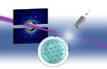 Quantum Vortices Observed Inside Superfluid Helium Nanodroplets