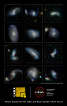 Massive Galaxies  Snack on Nearby Galaxies