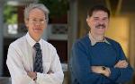 U.Va.’s Accomplished Faculty Researchers Named as Distinguished Scientists