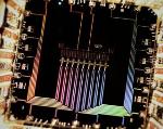 Quantum Device That Corrects its Own Errors, Holds Promise for Quantum Computing