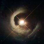 V1331 Cyg Reflection Nebula Spirals Out from Luminous Central Star