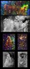 Rice University-Led Team Surveys Star Formation in Carina Nebula