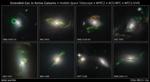 NASA's Hubble Photographs Ephemeral Ghosts of Quasars