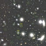 854 Ultra-Dark Galaxies Discovered in the Coma Cluster