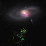 Active Galactic Nuclei Resemble a Flickering Lamp