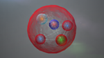 Pentaquark Particles Discovered at CERN