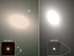 Undergraduates Discover Densest Ultracompact Dwarf Galaxies