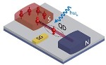 Scientists Demonstrate Electron Transport through a Quantum Dot into a Metal
