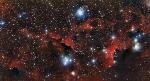Dark and Glowing Red Clouds Weave Amongst Bright Stars in the Seagull Nebula