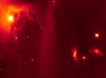 Interactions between Two Newly-Formed Stars Cause Strobe Flashes
