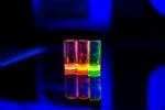Researchers Use Quantum Dots to Observe How Viruses Bind to Healthy Cells