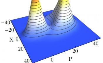 Scientists Report First Experimental Observation of Quantum Phase Transition