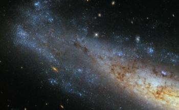 Hubble's Wide Field Camera 3 Captures Section of NGC 1448 Spiral Galaxy