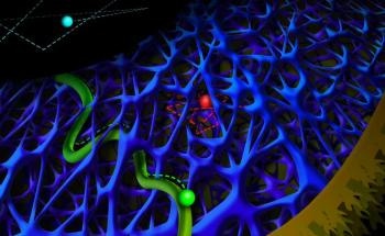 Quantum Dots Could Help Biophysicists Clarify Structure and Dynamics of Cytoskeleton