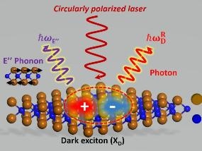 Exploiting Light-Matter Interaction Reveals Properties for Quantum Information Storage and Computing