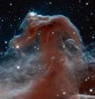 New Hubble Image Shows Infrared View of Horsehead Nebula