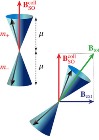 Quantum Nature of Macroscopic Spin Universal to Collective Spin Excitations in Conductive Systems