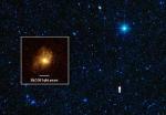 Ferocious Star-Formation in Rare Galaxy