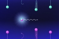 Long-Lived, Dipolar Molecules Provide a Key Resource for Molecule-Based Quantum Applications
